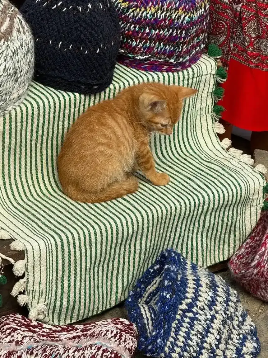 Марокко