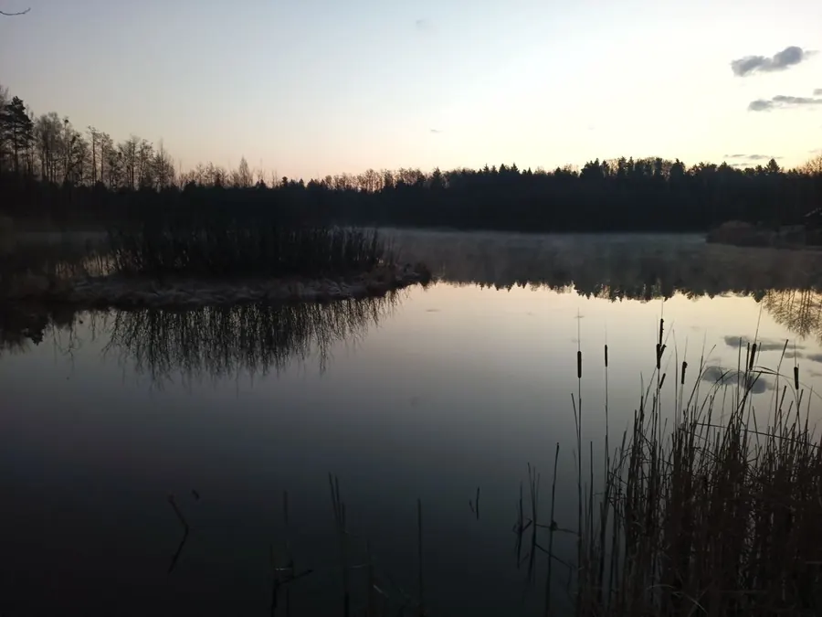 Озеро в лесу
